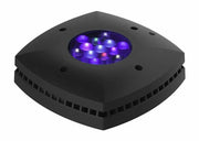 AI Aqua Illumination Prime 16HD Black LED Lighting w/ Mounting Options - clickcorals