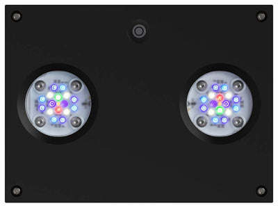 AI Hydra 32 HD Aqua Illumination Black LED Lighting w/ Mounting Options - clickcorals