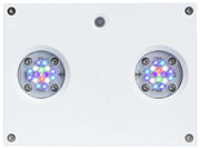AI Hydra 32 HD Aqua Illumination White LED Lighting w/ Mounting Options - clickcorals
