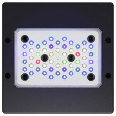 EcoTech Marine Radion XR15w G6 Pro LED w/Mounting Options - clickcorals