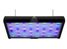 Neptune Systems Sky LED Light - clickcorals