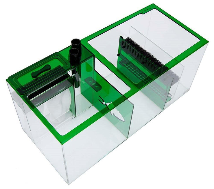 Trigger Systems Emerald Green 34" - clickcorals