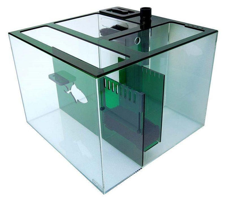 Trigger Systems Emerald Green Cube 20" - clickcorals